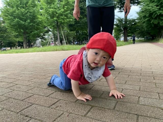 🌈今日は久しぶりに本五ふれあい公園へ散歩に行きました♪芝生の上は裸足になって走り回り足裏を刺激しながら自然と触れ合いました！「気持ちいいね〜！」といつもより夢中で走っていました。また、０歳児の子に自然物を「どうぞ」と渡してくれる優しいお兄さんお姉さんの姿がたくさん見られ日々の成長を感じています👏