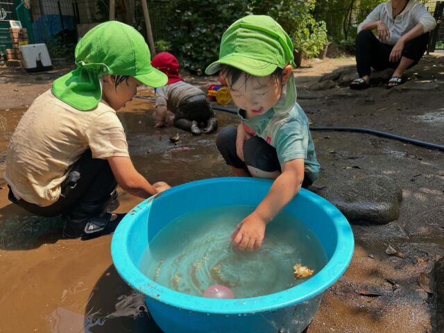 🌈水風船で遊びました！水風船が膨らむ様子を不思議そうに見ながら「大きくなってきた〜！」と喜ぶ子どもたち！触ると形が変形することや感触を楽しんでいました✨