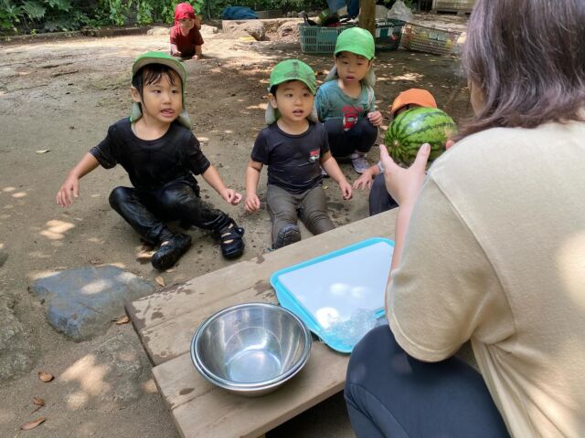 🌈園庭でスイカを食べました🍉丸いスイカの中身が何色かな？と子ども達と想像しました。「赤」「黄色」「青」などと声が上がりいざ割ってみると赤色の中身が出てきて「うわー」と良い反応でした😊甘くて美味しいスイカを外で食べられて大満足の子ども達でした！！